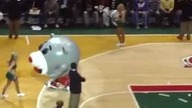 Walka maskotek w NBA