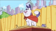 Doggy Day School S1EP5 - Super Koda