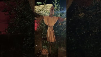 Dożynki 1670 #netflix #1670