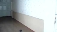 Uwaga Salto