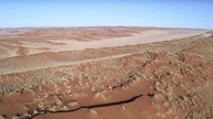 Dzika Namibia - Wild Namibia (2023)