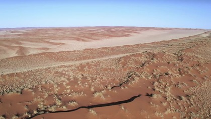 Dzika Namibia - Wild Namibia (2023)