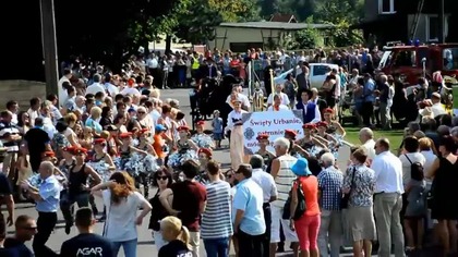 Żniwniok w pigułce