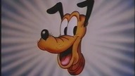 Pluto i pisklak (1948) [DUBBING]