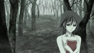 Vampire Knight Guilty Opening