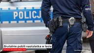 Lincz w lesie pod Legionowem.  Są zatrzymania [Serwis informacyjny, KSTV Info]