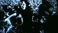 Korn - Here to Stay