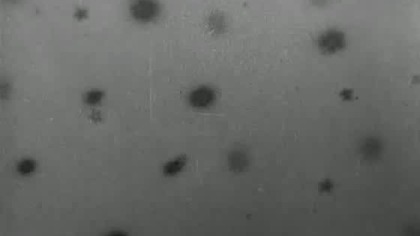 Jak zdobyć miliard  Certains l aiment...  froide (1960) [PL. DVDRip. XviD-NN] [Lektor PL] [avi]