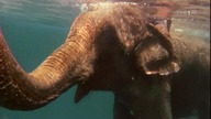 Tasmania wyspa dziwna i piękna
