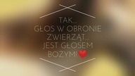 Tak...  Głos w obronie Zwierząt JEST GŁOSEM BOŻYM!