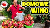 Jak zrobić wino w domu.  Praktyka, sprzęt i trochę niezbędnej teorii.