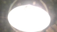 LED żarówka .