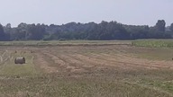 Prasowanie i żwozenie bel