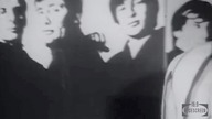 The Troggs - Wild Thing [Video 16x9 4K]