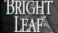 TYTOŃ. Bright Leaf. 1950. LEKTOR