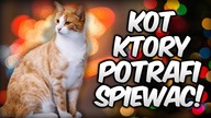 Zwierzęta, które POTRAFIĄ śpiewać!