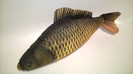 Karp Łusek Theatrum Illuminatum