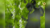 Chorus - Zabawa 1080p