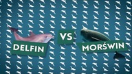 Delfin vs. morświn [Czym to się rożni #8]