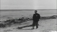 The She-Creature 1956 eng