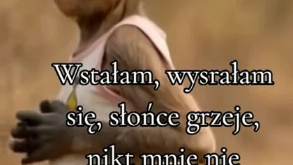 wstałam...  #true #trueman #życie #love #śmieszne