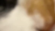 Pasta jakaś starsza podpięta możecie nadrobić #cat #horror #funnycats #asmr #dc #fyp #kittens