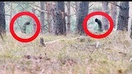 Znaleźli dziwne rury wystające z ziemi, nawet nie przypuszczali co znajdą pod powierzchnią!