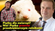 Konfederacja: Piątka dla zwierząt? Nie! Piątka przeciw przedsiębiorczym rolnikom!|| NCZAS TV