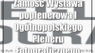 Tragedia w lesie.  Zawodowy pilarz zginął podczas wycinki