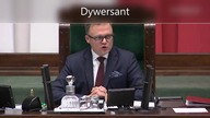 Dywersant