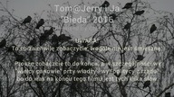 Tom@Jerry i Ja - Bieda (Remix) (EqHQ)