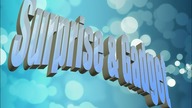☆ Sylwester i Nowy Surprise&Gadget - Nowy Sezon ☆