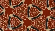NotRobit (2019) Credits (FIXED)