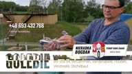 Z wizytą u kolegi Bogdana Nieradki - gołębie Lini Vos 94, Vercammen, Verstraete - film gołębie 2021