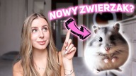 ODPOWIADAM NA WASZE PYTANIA