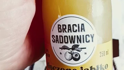 Regio Jet - tani posiłek w czeskim pociągu! Ile kosztuje zupa ogórkowa i sok dostarczane na miejsce?