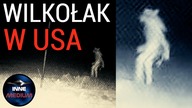 Wilkołak został sfotografowany w pobliżu ZOO w Teksasie