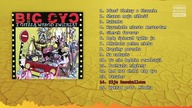 BIG CYC - Kije baseballowe | 14 - Z gitarą wśród zwierząt (1996)