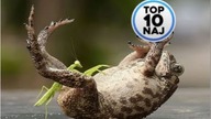 Top 10 Naj | 10 dziwnych eksplozji które was zaskoczą!! :-)