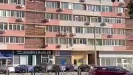 żabka w rumunii, bukareszt, froog