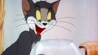 Tom. and. Jerry. (H-B). E006. Puss. N. Toots.plDUB. 1080p