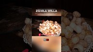 Willa ślimakożercy?  Zobacz całość #shorts #urbex #polska #ciekawostki #abandonedplaces