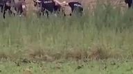 1750 przyjaciele z Ukrainy urzadzili sobie pod (1)