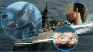Zbiórka na leczenie Filipka + Potwór USS Stein | W Nieznane