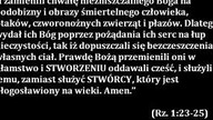 Czczenie Maryji jest POGAŃSTWEM  2