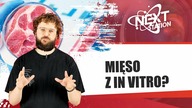 Mięso z in vitro? Burger z lwa, stek z tygrysa i zebra sushi?