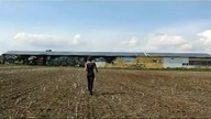 Dziewczyna maluje niesamowite graffiti