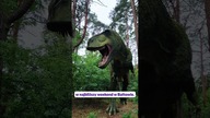 Spotkajmy się w JuraParkach! #dinozaury