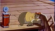 15.  Super Baloo - Dla kilku petrodolar&oacute;w (Pl. Dubb. ) wersja TVP1