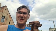 Inkubator revento i drugie prześwietlenie jajek * papugi niosą się jak kury #Garden kuRaż